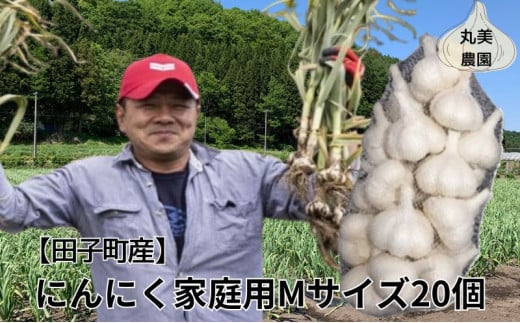 丸美農園 田子産家庭用にんにく（M）20個
