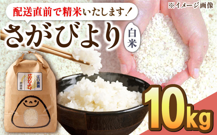 
            【発送月が選べる】＜14年連続特A評価＞令和6年産 新米 さがびより 白米 10kg 配送前精米 /江口農園 [UBF004] 白米 米 お米 精米 佐賀県産 特A
          