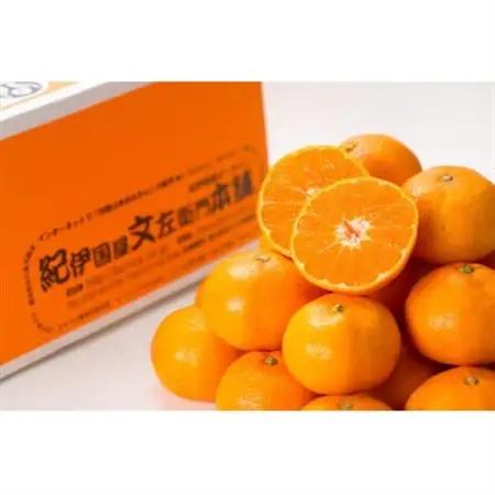 有田みかん 秀品 [約2.8kg]LMS【サイズおまかせ】/薄皮で甘い美味しいみかん 産地直送【1543800】