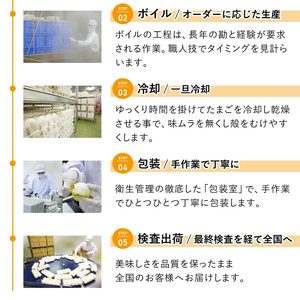 マジックパール【ギフト用】味付ゆでたまご(2個入り× 9パック）+割れ保障（2個入り× 1パック） ／ 国産 八幡平 市 工場 直送 ゆで たまご 卵 玉子 タマゴ 味付き 味 合計 20 個 合計 
