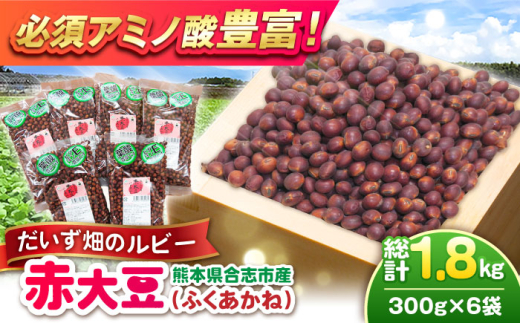 【令和8年熊本地震復興支援】熊本県産 赤大豆（品種 ふくあかね）300g×6袋 【一般社団法人クラッシーノこうし】大豆 だいず ダイズ 熊本県産 熊本県 熊本 合志市 合志 くまもと こうし 赤大豆 ふくあかね アントシアニン イソフラボン [AYAB048]