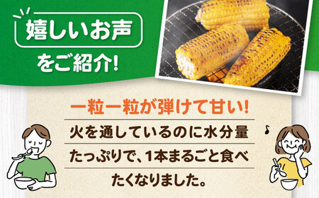 【先行予約】とうもろこし味来 26本 [AJAK007] とうもろこし 北海道 産地直送