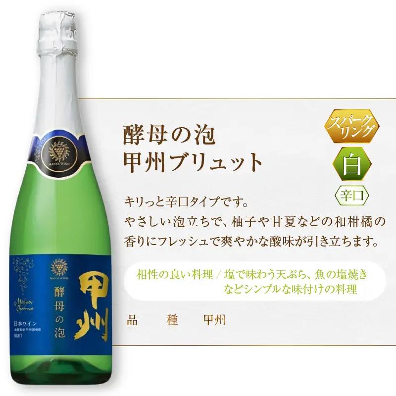 ワイン マンズワイン 飲み比べができるスパークリングワイン 赤 白 ロゼ5本セット（MG）E-627