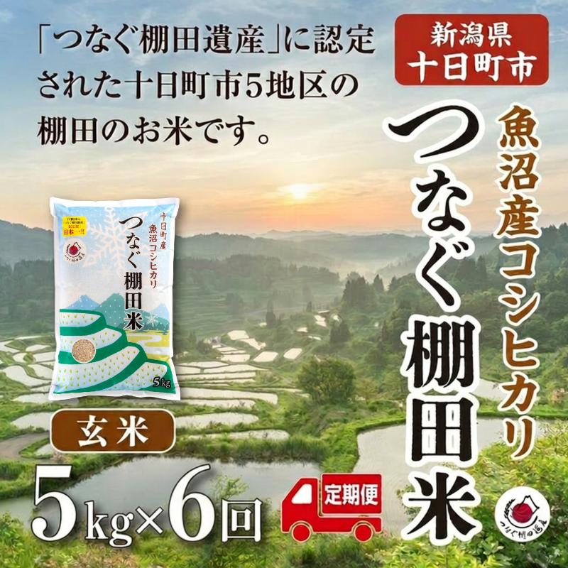 【定期便／全6回】玄米5kg  令和7年産新潟県十日町市魚沼産コシヒカリ「つなぐ棚田米」 米 こしひかり 玄米 十日町市