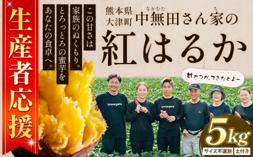 熊本県大津町産 中無田農園の紅はるか 約5kg (大中小サイズ不揃い) 熊本県大津町 《1-5日以内に出荷予定(土日祝除く)》 さつまいも 芋 スイートポテト 干し芋にも 名産地 特産品 秋 旬