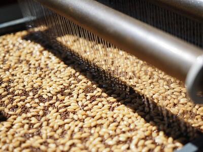 【令和7年産】【定期便 南魚沼産】コシヒカリ 白米3kg×6回【2025年9月中旬より順次発送予定】