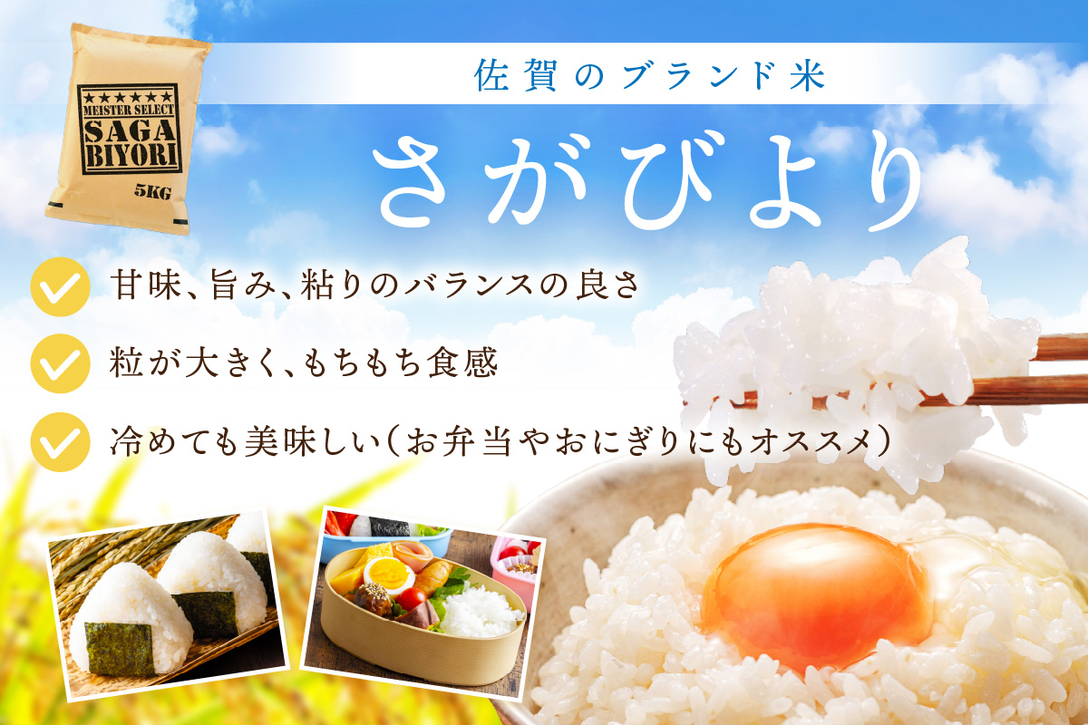 【11月から順次発送】 令和6年産 【定期便】《無洗米》さがびより ５kg×６回B703