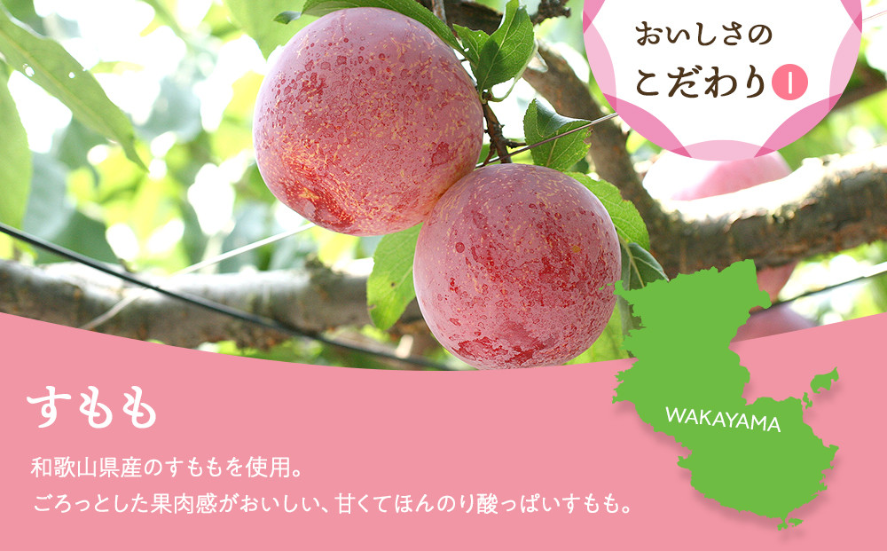 和歌山県産 ドライフルーツ すもも 20g×6袋