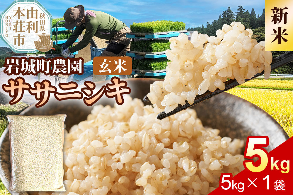 《令和8年産 新米》【玄米】ササニシキ 5kg(5kg×1袋) 秋田県 由利本荘市産 真空パック 岩城町農園 [新米 米 お米 玄米 秋田県産 ササニシキ ブランド米 食卓 おにぎり 秋田県産 秋田]