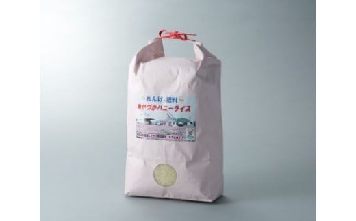【ふるさと納税】ハニーライス白米 キヌヒカリ5kg（精米後4.5kg） 農事組合法人万葉の郷ぬかづか 滋賀県 東近江市 A-E06 キヌヒカリ 5kg 4.5kg お米 米 白米 精米 滋賀 東近江 レンゲ 特別栽培 環境こだわり