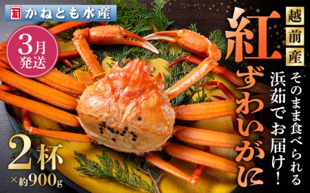 ≪浜茹で≫越前産 紅ずわいがに 約900g × 2杯 食べ方しおり付【3月発送分】希【紅ズワイガニ カニ かに 蟹 姿 ボイル 冷蔵 福井県】望日指定不可 [e14-x001_03]