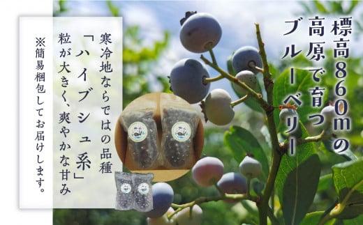 【通常配送】標高860mの高原で育ったブルーベリー(冷凍）2パック(380g×2） 国産 ブルーベリー 760g ｜ フルーツ おやつ 製菓 冷凍 果物 冷凍フルーツ 発送時期が選べる 治助ファーム 