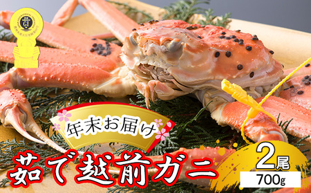 【年末お届け】 越前ガニ 約700g 2尾セット 越前がに 越前ガニ
