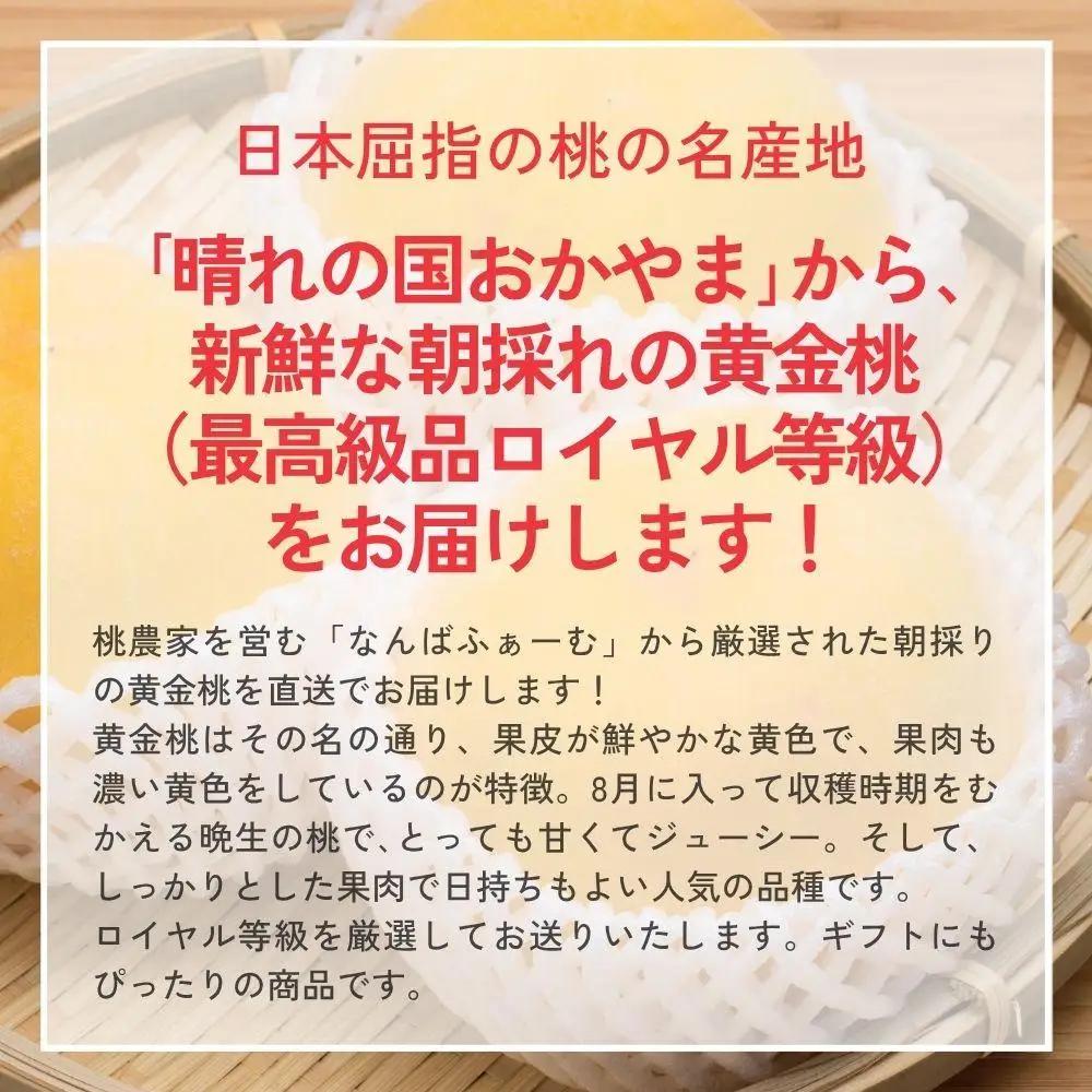 【2026年先行予約】［なんばふぁーむ］岡山県産 黄金桃 1.5kg（4～6玉）[ギフト用]