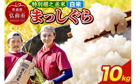 まっしぐら 10kg ［白米］ 特別權之丞米 青森県産 令和7年産 [お米 東北 精米 青森 青森県産 白米 米 ブランド米]