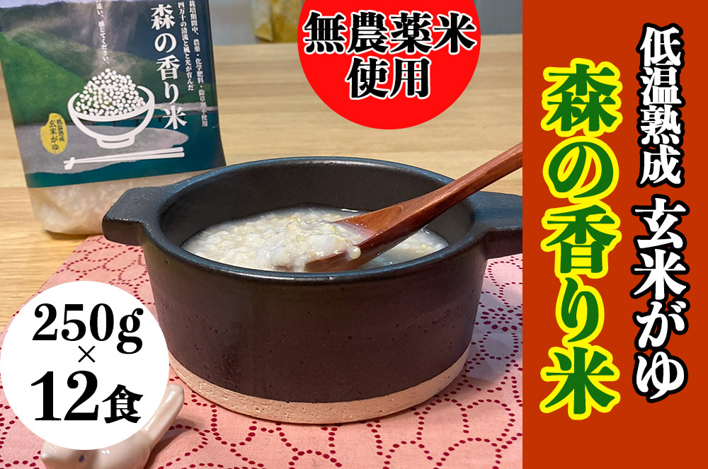 
【無農薬／香り米使用】低温熟成 玄米がゆ「森の香り米」) 250g×12食　Bnm-19　／四万十 しまんと お米 おかゆタイプ パックご飯 無添加 湯煎 レンチン そのまま食べられる災害時の非常食
