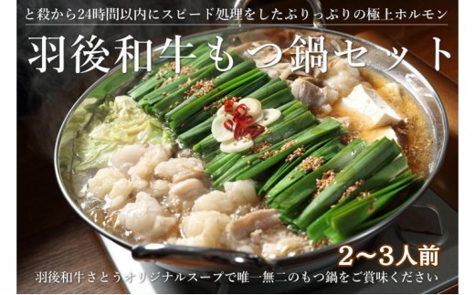 羽後和牛もつ鍋セット2～3人前 しょうゆ味 鍋物 グルメ 新鮮ホルモン 夕飯 集まり イベント 女子会 忘年会 新年会 鍋料理
