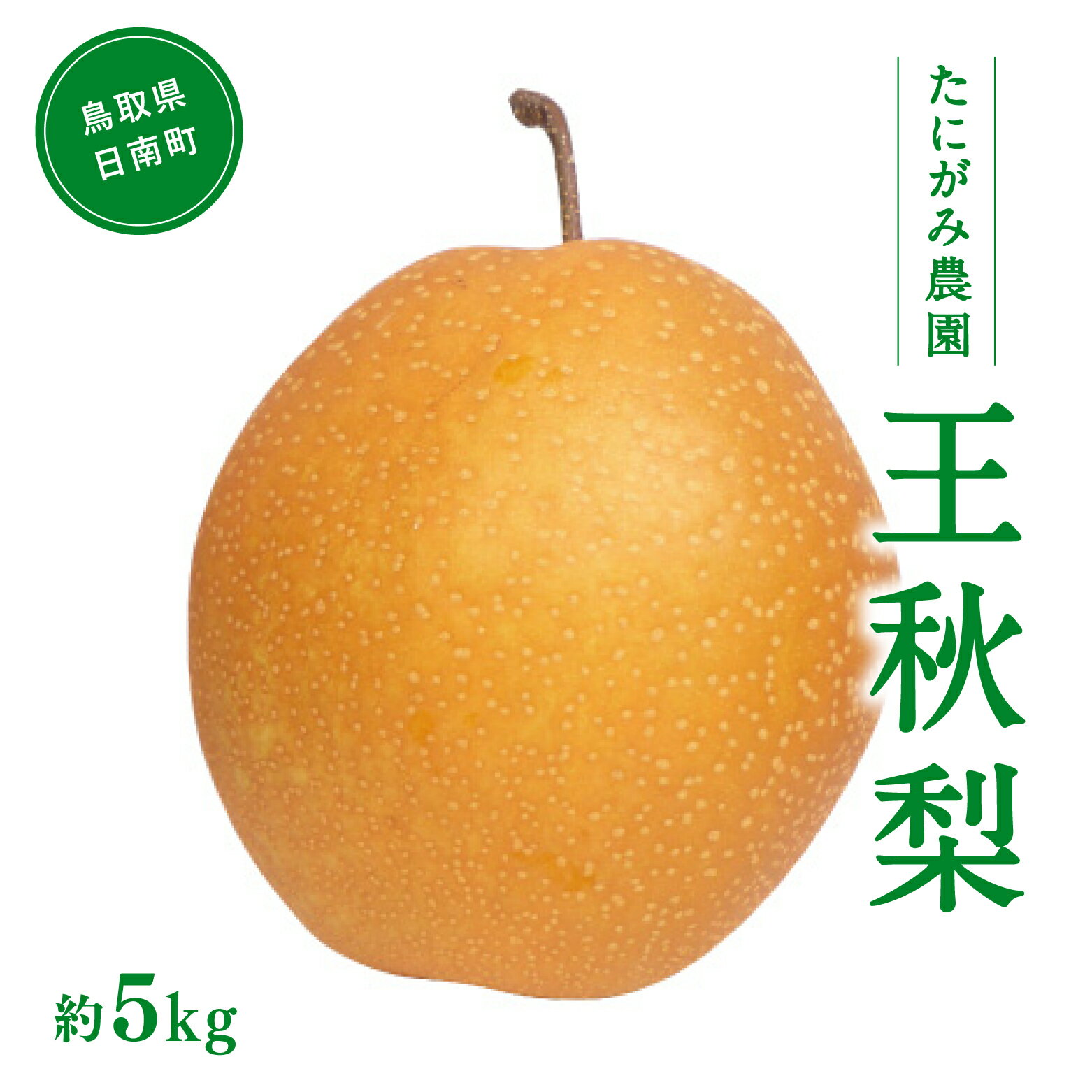 【ふるさと納税】たにがみ農園 王秋梨 5kg (7玉～14玉) 梨 なし フルーツ 果物 くだもの 鳥取県 佐治 梨 なし ナシ