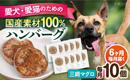 【全6回定期便】ペットフード 三崎マグロ 100%ハンバーグ 10個セット ペット 犬 猫 手作り 国産 てづくり こだわり まぐろ ドッグフード  ドッグフード ペットフード 横須賀 【ペットフードYM japan】 [AKEX004]