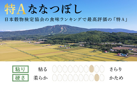 《令和7年産 新米》北海道産ななつぼし 10kg（通常パック5kg×2袋）