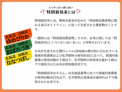 【2025年産】 北海道羽幌産 特別栽培米 ゆめぴりか5kg・ななつぼし5kgセット【0812202】