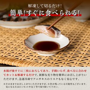 北海道産「刺身いわし」【20枚×4パック(40尾分)】_K010-1520