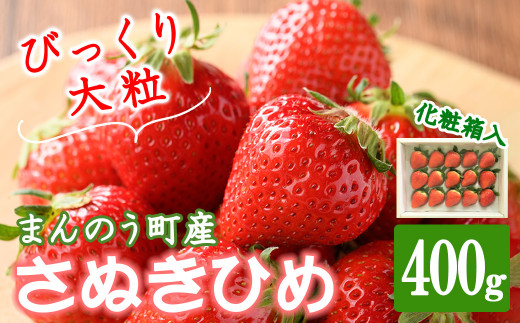 ＜先行予約！2025年2月中旬以降順次発送予定＞＜贈答用＞＜選べる容量＞香川県産 さぬきひめいちご(約400g)ギフト  【man100・man101】【Aglio nero】