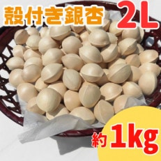 【先行受付】殻付き銀杏 (ぎんなん)【2L】 約1kg(200g×5パック)