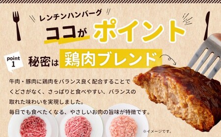 【常温保存可能】レンチン対応ハンバーグ（デミグラスソース）10個入り デミグラスハンバーグ お肉 簡単調理 長期保存 常温