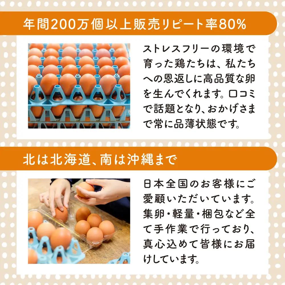 つまんでご卵 卵 大サイズ 40個 セット [AGA011] たまご