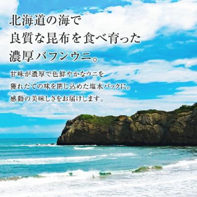 ふるさと納税 余市町 【先行受付:2025年4月末以降順次発送】北海道産 塩水ウニ(バフン)400g_Y038-0147 |  | 01