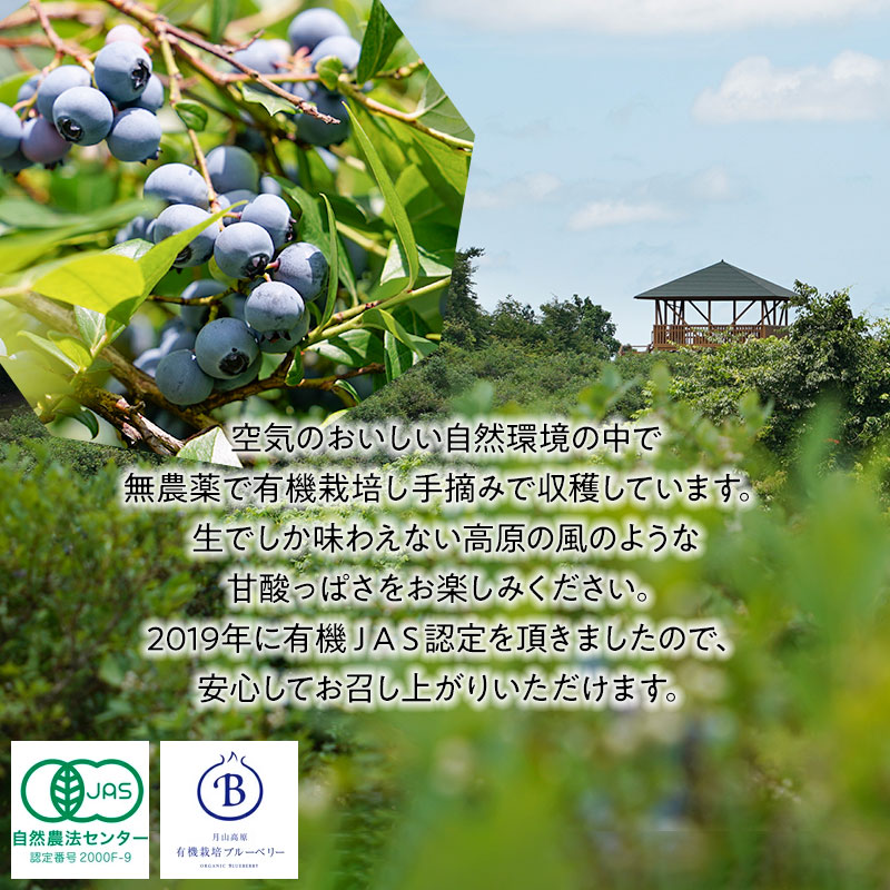 【令和7年産先行予約】【冷凍】月山高原のオーガニックブルーベリー(大粒・600g)　K-742