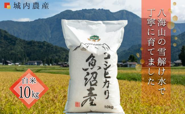 【令和７年産】【令和７年産】南魚沼産コシヒカリ 白米１０ｋｇ 【５割減農薬栽培米】城内農産