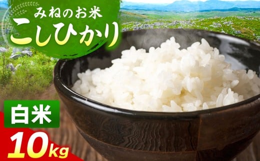 令和7年度産 こしひかり 白米 10kg｜ 白米  米 雑穀 お米 コメ 単一米 こしひかり コシヒカリ   山口 美祢 秋吉台
