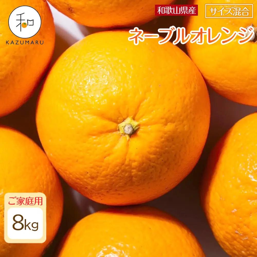 家庭用 森本農園の手選別ネーブルオレンジ 約8kg 和歌山県産 サイズ混合 ［北海道・沖縄・離島配送不可］［RN46］［2027年1月上旬から順次発送］
