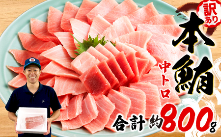訳あり 本まぐろ 中とろ 中とろ セット 約 800g 【まぐろ】