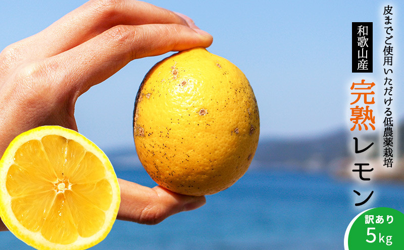 
EA6023n_【訳あり・ご家庭用】完熟 レモン 5kg 皮までご使用いただける低農薬栽培!
