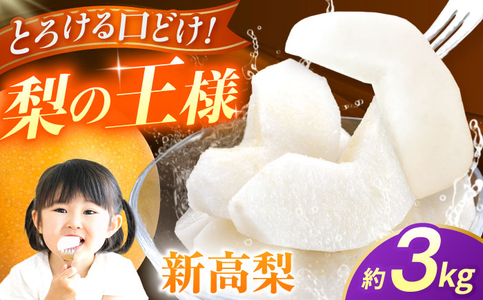 【先行予約】新高梨　約3kg 梨 ナシ フルーツ 果物 【日本フルーツ株式会社】 [ZFJ064]