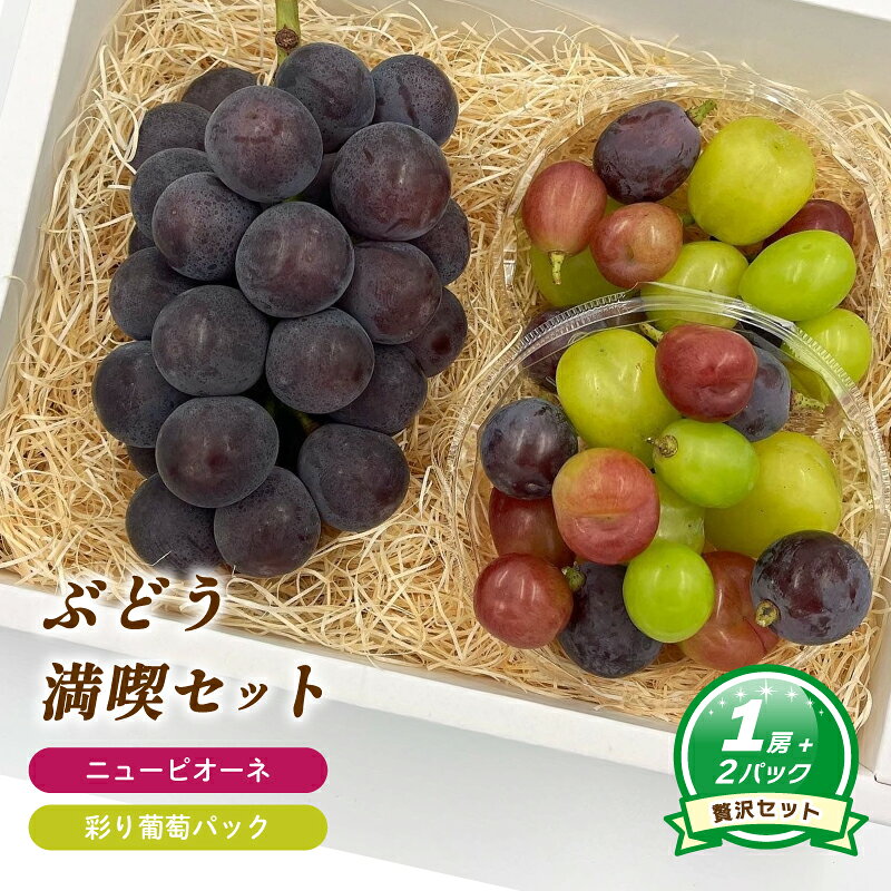 【ふるさと納税】 【2026年8月中旬頃から順次発送】 ニューピオーネ 約550g ( 大1房 ) + 彩り葡萄パック 約270g ( 2パック ) | ぶどう ニューピオーネ 種なし セット バラ粒 大粒 数量限定 愛媛県産 松山市