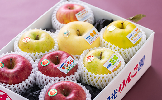 贈答用【8月中旬～随時発送】農家おススメ!旬のりんご約3kg(9玉～11玉入り)【配送不可地域：離島】