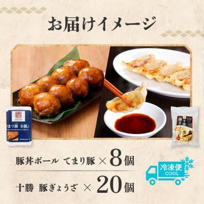 ふるさと納税 帯広市 十勝 豚丼ボール&ぎょうざセット(各1パック)秘伝のタレ付き 北海道産豚肉使用 北海道 帯広市 |  | 03