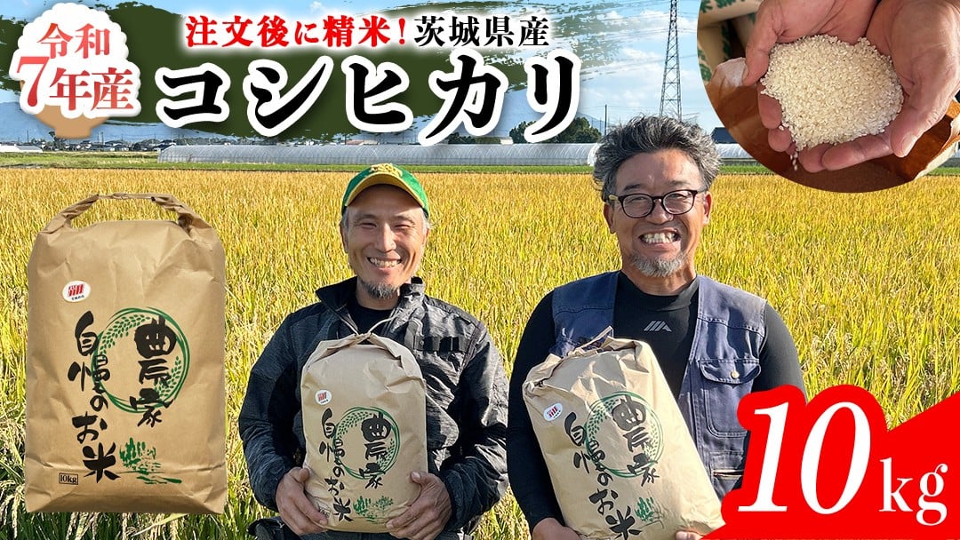 
                  【令和7年】茨城県産 コシヒカリ 10kg 令和7年産 単一原料米 精米 米 お米 コメ 白米 こしひかり 茨城県[BC083sa]
                