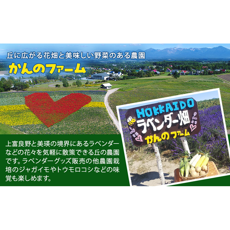 訳あり 賞味期限間近 ビーツ ドレッシング 120ml 2本 フードロス削減 生産者応援 北海道 上富良野町 かんのファーム_イメージ3