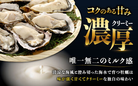 江田島ミルク牡蠣 殻付き 25個 加熱用 かき 広島県産 カキ 貝付き牡蠣 海鮮 贈呈用 BBQ 濃厚 新鮮 蒸し牡蠣 焼き牡蠣 グリル焼き 丸杉水産/江田島市[XCY003]