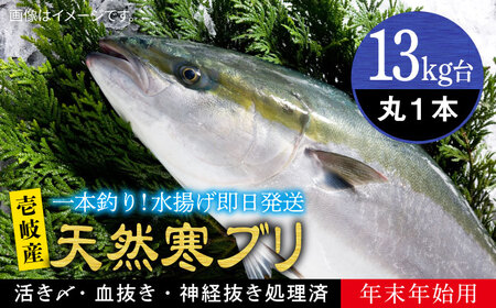 【お正月用】壱岐島産天然寒ブリ（13ｷﾛ台・丸もの）[JBS115]