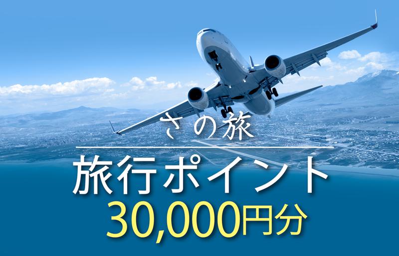 さの旅 旅行ポイント 30,000円分【宿泊 旅行 ホテル トラベル】