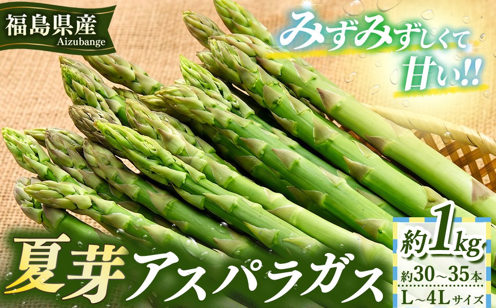 
                  60-C 夏芽アスパラガスL～4Ｌサイズ1kg(約30～35本) ※2026年7月～発送
                