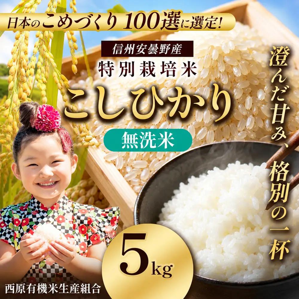特別栽培米 こしひかり 無洗米 約5kg | 有限会社川久保米穀
