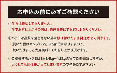 幻のハラミ これが和牛のハラミ（横隔膜）です 黒毛和牛 和牛 ハラミ 上ハラミ 肉 お肉 高級 サシ 焼肉 BBQ 希少 新鮮 国産 九州産 冷蔵【2024年10月上旬～10月下旬発送予定】