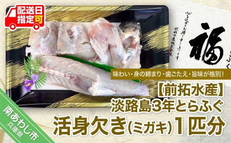 淡路島3年とらふぐ　活身欠き【ミガキ・１匹分】◆配送10月8日～3月31日